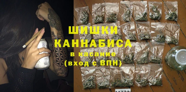 МДПВ Каменка