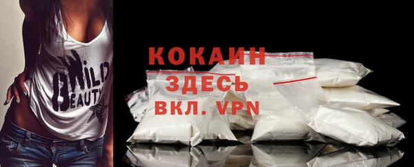 МДПВ Каменка