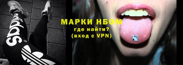 дживик Касимов
