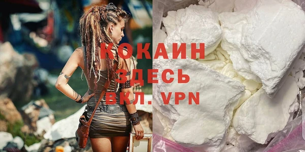 дживик Касимов