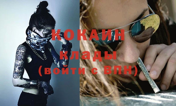 дживик Касимов