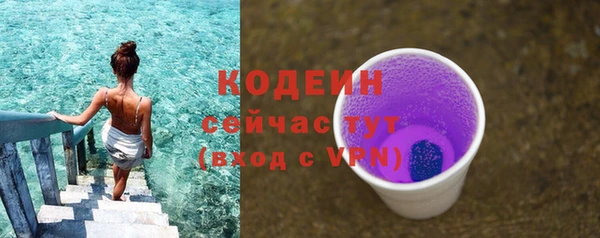 МДПВ Каменка