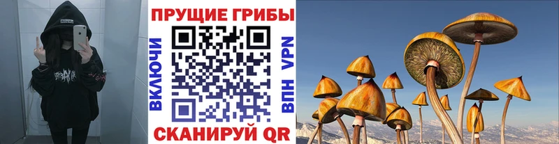 Купить закладки  Волосово  Галлюциногенные грибы мухоморы 